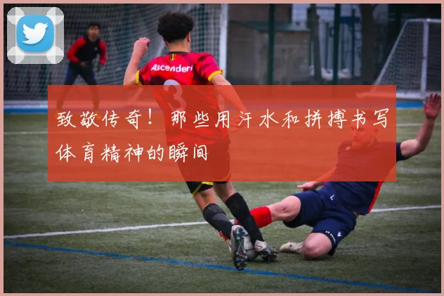 致敬传奇！那些用汗水和拼搏书写体育精神的瞬间